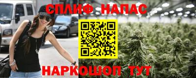 тгк Новокубанск