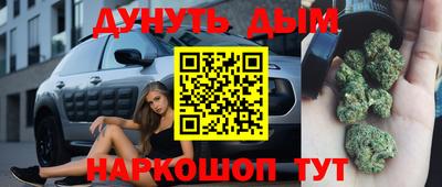 тгк Новокубанск