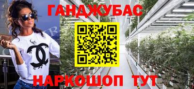 спиды Новодвинск